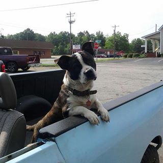 Profile Picture of Barry Callaham (@barry.callaham) on Facebook