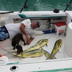 Profile Picture of Mike Fields (@Mike-Fields) on Facebook