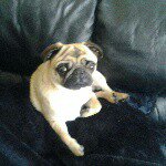 Profile Picture of Tyler Wharton (@tyler_wharton) on Instagram