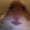 Profile Picture of Shawn Jansen893 (@@daddychill_wow) on Tiktok