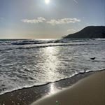 Profile Picture of Alex Goldenberg (@alex.goldenberg.3597) on Instagram