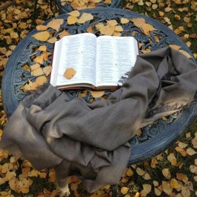 Profile Picture of Thomas Avalos (@fmhim) on Twitter