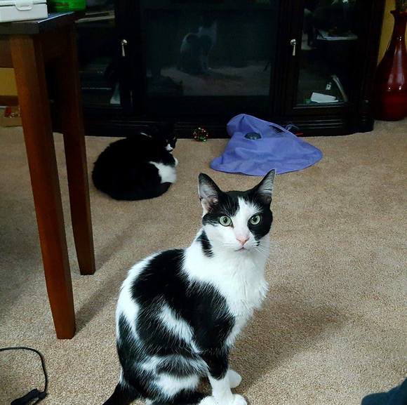 Profile Picture of Kim Ninmann (@kayce310) on Poshmark