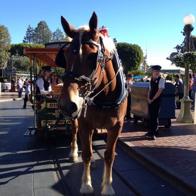 Profile Picture of David Wozny (@davidwozny) on Twitter