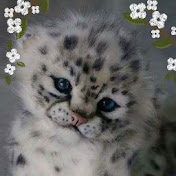 Profile Picture of Lisa Coffman (@lisacoffman7772) on Youtube