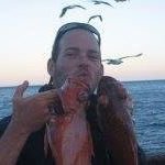 Profile Picture of Aaron Sarlo (@sarloaaron) on Instagram