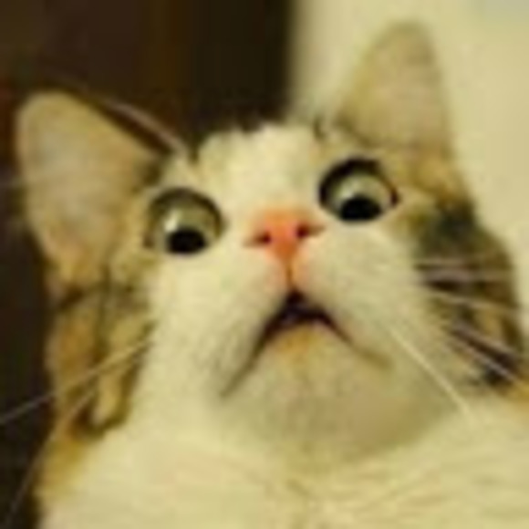 Profile Picture of William Lallani (@williamlallani) on Poshmark