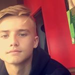 Profile Picture of Josh Shustack (@joshshustack) on Instagram