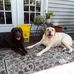 Profile Picture of Sherry Ferree (@sherry.ferree.374) on Facebook