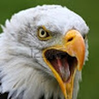 Profile Picture of Stacey Page (@stacey-page-30) on Quora