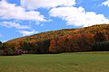 Profile Picture of McCauley Mountain (Pennsylvania)on Wikipedia