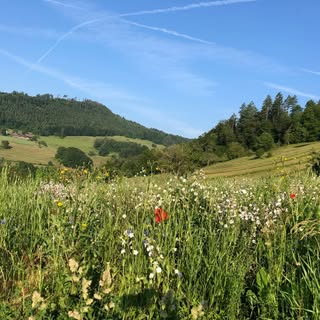 Profile Picture of Naomi Heller (@heller_naomi) on Instagram