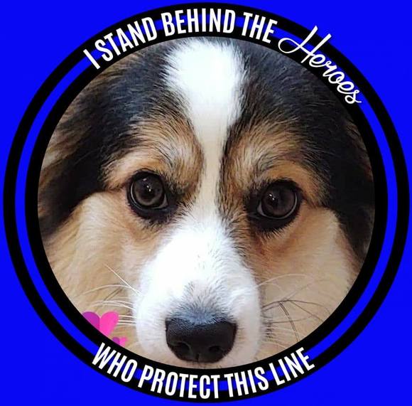 Profile Picture of Lisa Reed chmielewski (@lisareed4353) on Poshmark