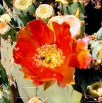 Profile Picture of Myrna Schwartz (@myrna.schwartz.12) on Facebook