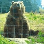 Profile Picture of Joshua Palmer (@thefriendlyheckler) on Instagram