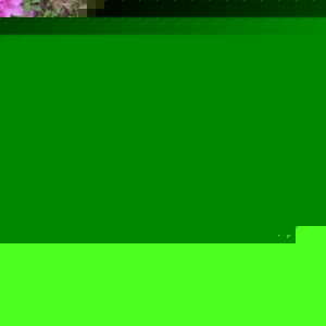 Profile Picture of Faye Michaels (@351053492) on Myspace