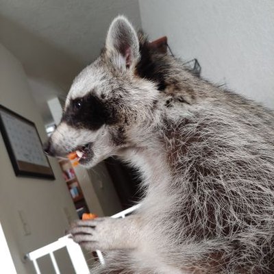 Profile Picture of Tim Cushing (@TimCushing) on Twitter