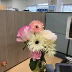 Profile Picture of Hwansoo Lee (@hwansoo.lee.12) on Facebook