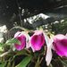 Profile Picture of Nguyễn Bách (@bachvannguyen55) on Pinterest