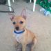 Profile Picture of Stacy Riggs (@stacy.riggs.9638) on Facebook