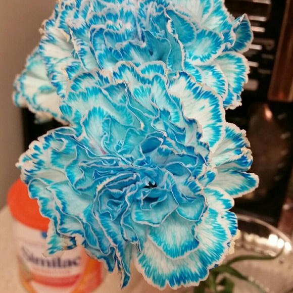 Profile Picture of Jamie Gibbons (@gibbsj1130) on Poshmark