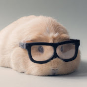 Profile Picture of Peter Tran (@petertran9117) on Youtube