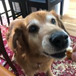 Profile Picture of Mark Micciche (@miccichemark) on Instagram