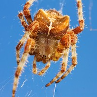 Profile Picture of John Savoy (@john-savoy-12) on Quora