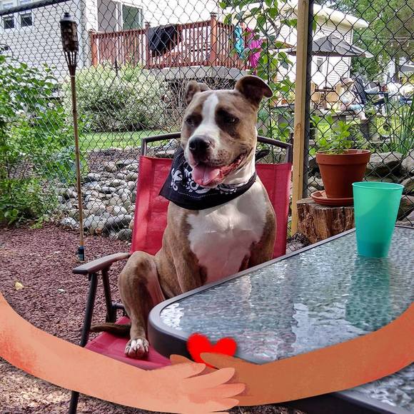 Profile Picture of Rudy Cacopardo (@cacopardo1968) on Poshmark