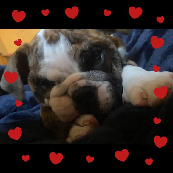 Jessica Zelusky - Poshmark Profile Picture of Jessica Zelusky (@jessicazelusky) on Poshmark