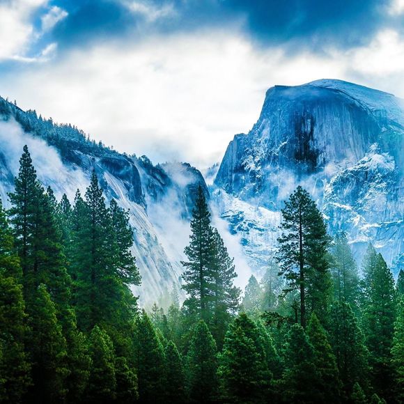 Profile Picture of Janet Chase-williams (@librarychase) on Poshmark