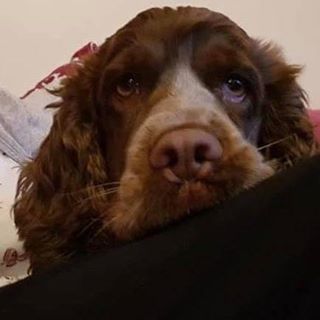 Profile Picture of Mark Dallow (@mark.dallow.1) on Facebook