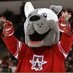 Profile Picture of Biscuit K9 (@FakeBiscuitK9) on Twitter