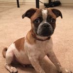 Ryder Allen - Instagram Profile Picture of Ryder Allen (@ryder.allen) on Instagram