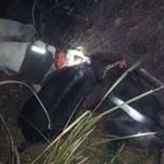 Profile Picture of Jason Fordham (@fordham.jason) on Instagram