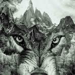 Profile Picture of Adam Kochanowski (@Adam-Kochanowski) on Facebook