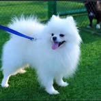 Profile Picture of Palmer Jane (@Palmer-Jane) on Facebook