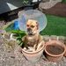 Profile Picture of Osborne Mcclintic (@omcclintic) on Pinterest