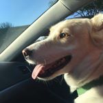 Profile Picture of Jason Rosenbloom (@jbloom1313) on Instagram