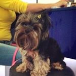 Profile Picture of Pantelis Gafos (@gafos) on Instagram