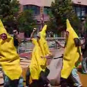 Profile Picture of Marcus Mata (@74349234) on Youtube