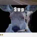 Profile Picture of Andrew Haley (@andrew.haley.3766) on Facebook