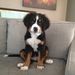 Profile Picture of Janet Stinchcomb (@janetlsg) on Pinterest