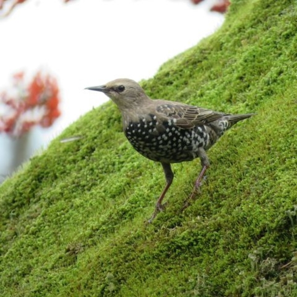 Profile Picture of Hoffmann Kata (@hoffmannpetra) on Poshmark