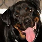 Kelly Markham - Instagram Profile Picture of Kelly Markham (@kmark50) on Instagram