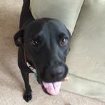 Profile Picture of Alaina (@wealthyfitandwise) on Instagram