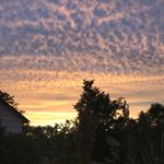 Profile Picture of The Friendly Neighborhood (@friendly_neighborhood_eugene) on Instagram