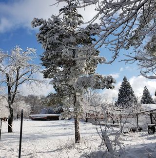 Profile Picture of Chris Medeiros (@chris.medeiros.1612) on Facebook