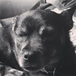 Profile Picture of sean borden (@borden.sean) on Instagram