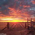 Collin Miles. - Instagram Profile Picture of Collin Miles. (@collin_miles0) on Instagram